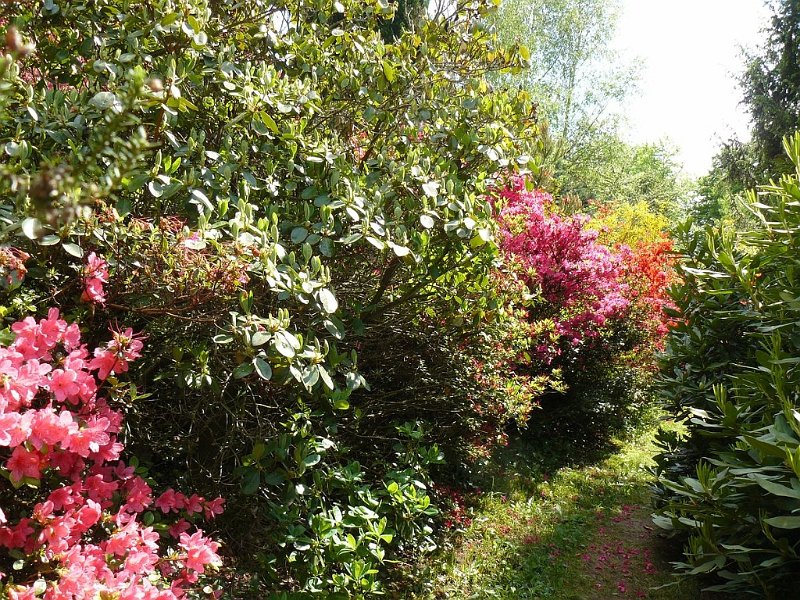 2008 05 Séjour à Martel 08